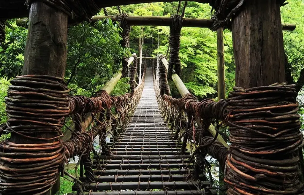 祖谷渓谷_祖谷のかずら橋