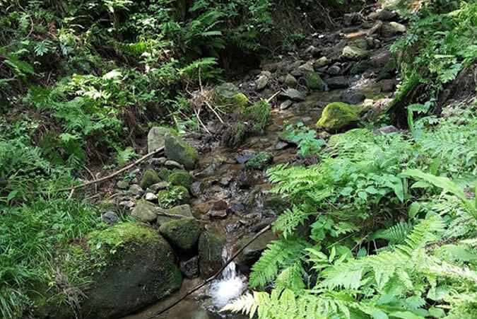 一度は行きたい世界遺産！『石見銀山』と島根県の西部の観光スポットをご紹介！