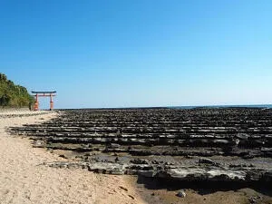 青島神社