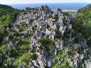 やんばる国立公園・大石林山