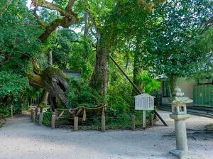 大山祇神社