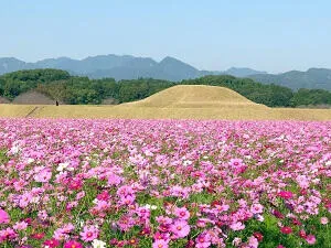 西都原古墳群/西都原考古博物館