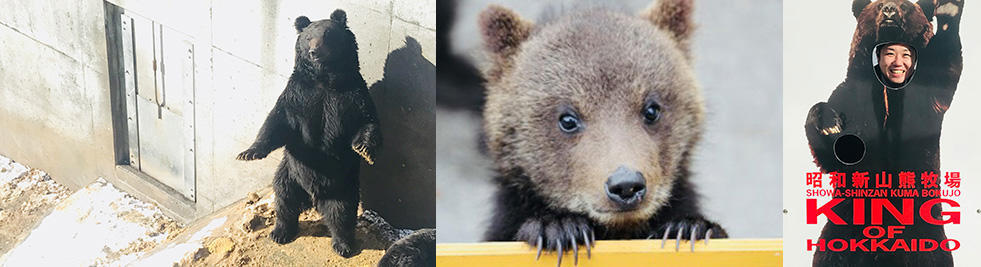 昭和新山クマ牧場①,昭和新山クマ牧場②,昭和新山クマ牧場③