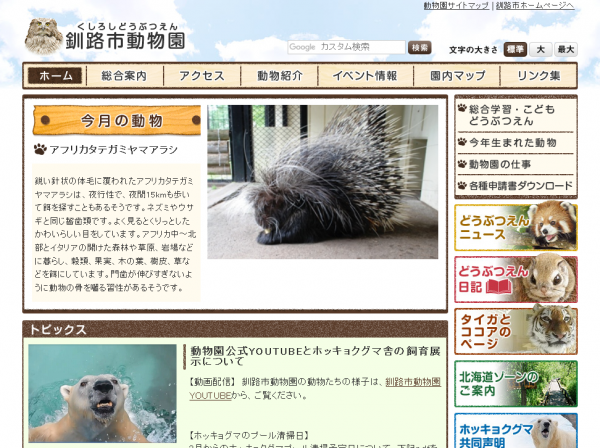 釧路市動物園、コミミズク「ハッチ」のフライト訓練参加者募集