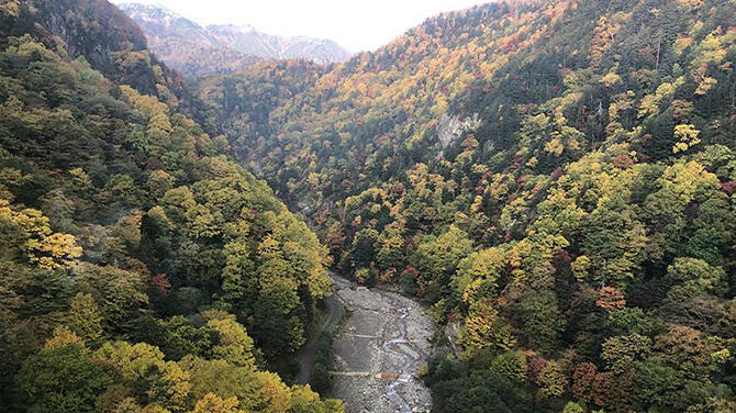 北海道紅葉02