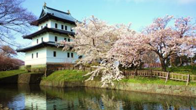 松前城の桜