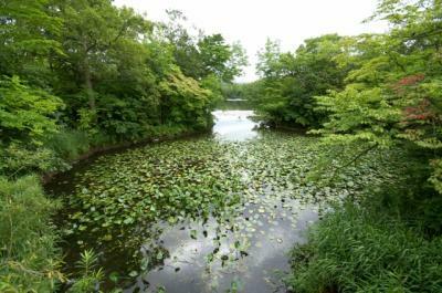 大沼国定公園