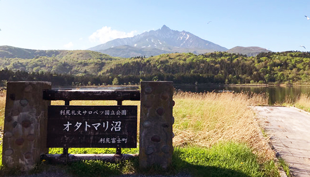 オタトマリ沼