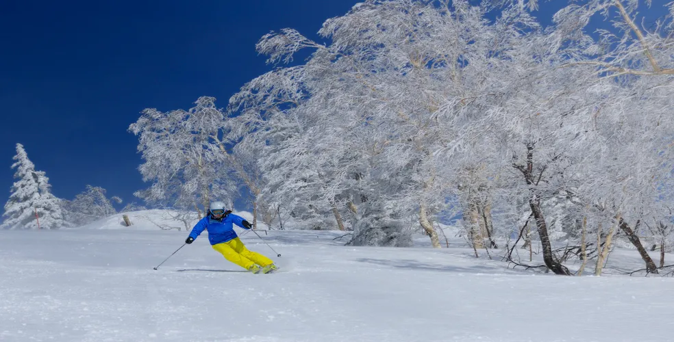 北海道スキーイメージ