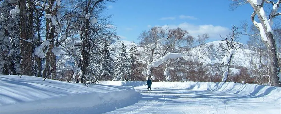 北海道スキーイメージ