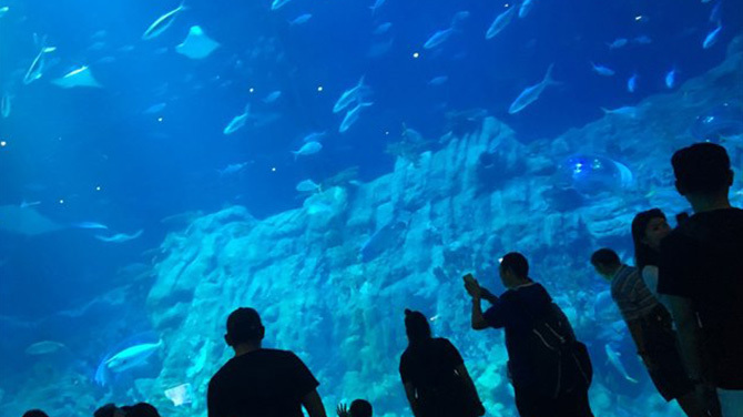 水族館