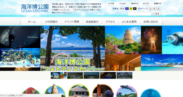 海洋博公園、デンドロビウムの特別展示を開催