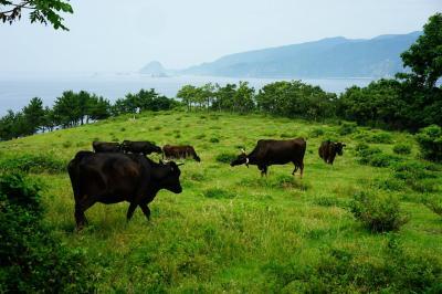 ハートアイランド黒島