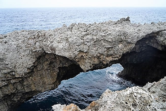 沖永良部島へ日帰り旅！ 鹿児島発着でたっぷり7時間半の大自然・絶景めぐりをしませんか