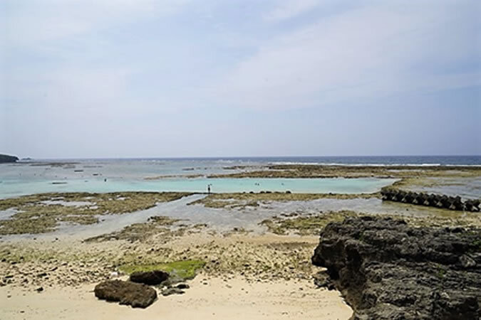 沖永良部島へ日帰り旅！ 鹿児島発着でたっぷり7時間半の大自然・絶景めぐりをしませんか