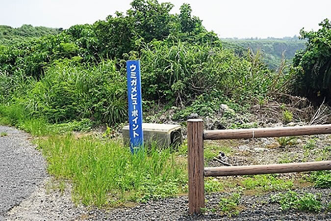 沖永良部島へ日帰り旅！ 鹿児島発着でたっぷり7時間半の大自然・絶景めぐりをしませんか