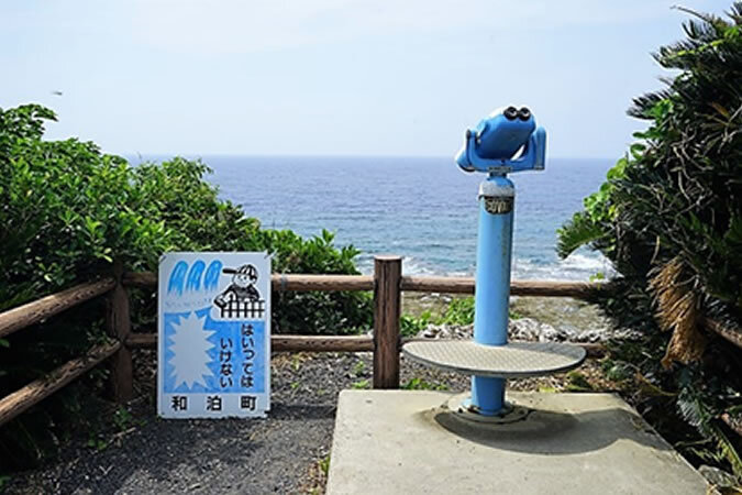 沖永良部島へ日帰り旅！ 鹿児島発着でたっぷり7時間半の大自然・絶景めぐりをしませんか