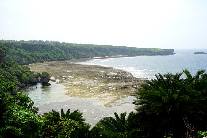 沖永良部島へ日帰り旅！ 鹿児島発着でたっぷり7時間半の大自然・絶景めぐりをしませんか