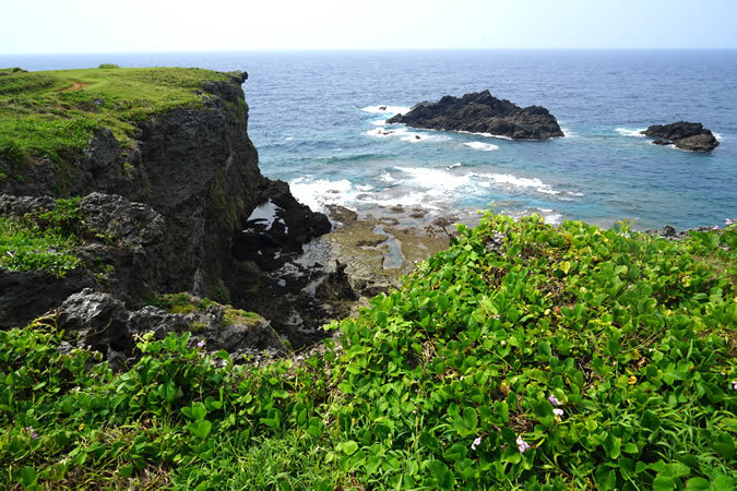 沖永良部島へ日帰り旅！ 鹿児島発着でたっぷり7時間半の大自然・絶景めぐりをしませんか