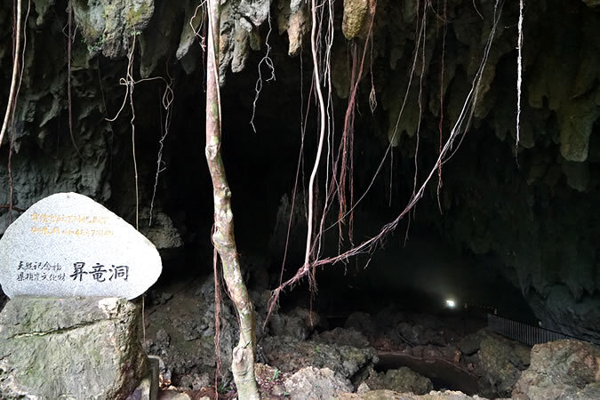 沖永良部島へ日帰り旅！ 鹿児島発着でたっぷり7時間半の大自然・絶景めぐりをしませんか