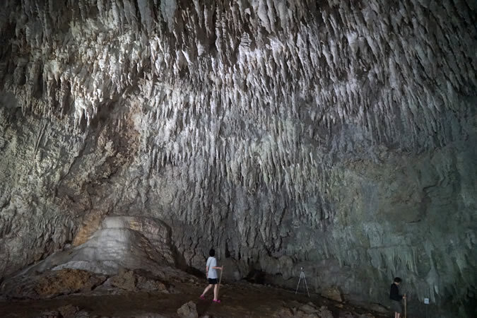 沖永良部島へ日帰り旅！ 鹿児島発着でたっぷり7時間半の大自然・絶景めぐりをしませんか