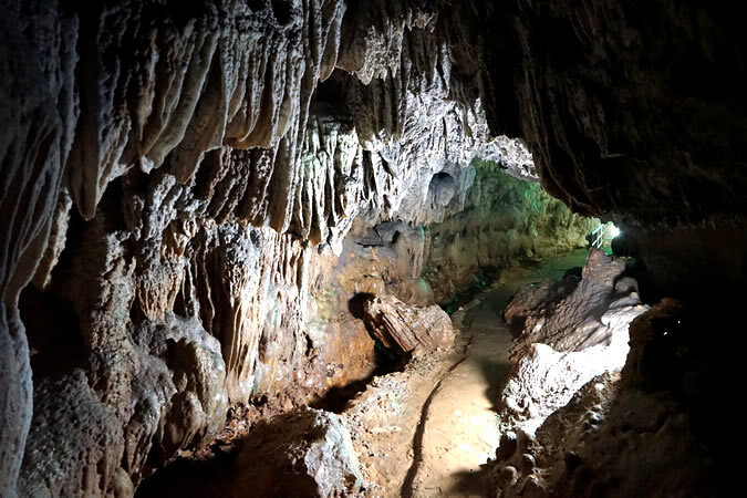 沖永良部島へ日帰り旅！ 鹿児島発着でたっぷり7時間半の大自然・絶景めぐりをしませんか