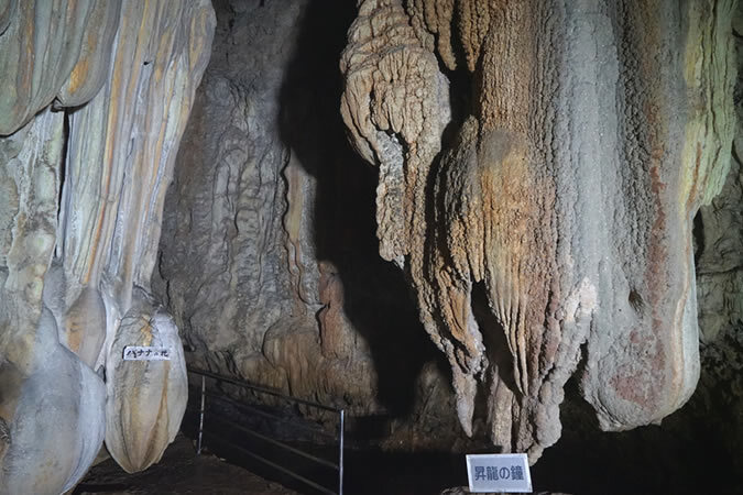 沖永良部島へ日帰り旅！ 鹿児島発着でたっぷり7時間半の大自然・絶景めぐりをしませんか