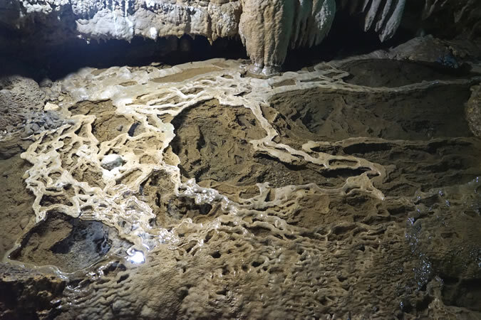 沖永良部島へ日帰り旅！ 鹿児島発着でたっぷり7時間半の大自然・絶景めぐりをしませんか