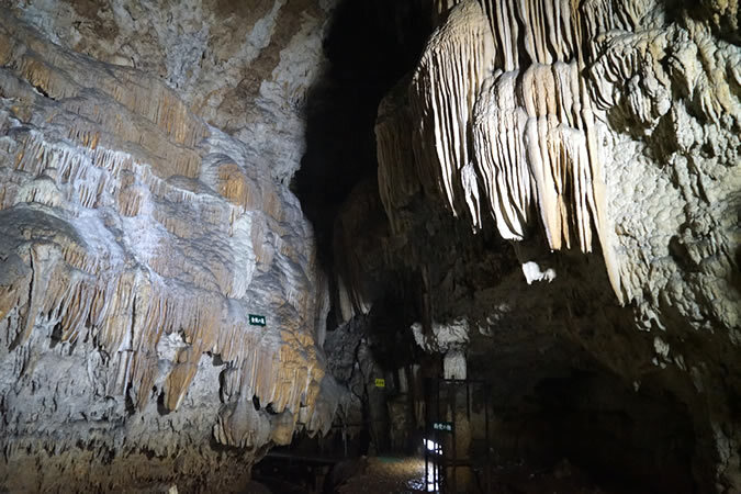 沖永良部島へ日帰り旅！ 鹿児島発着でたっぷり7時間半の大自然・絶景めぐりをしませんか