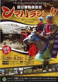 より速く、より美しく。琉球競馬「ンマハラシー」