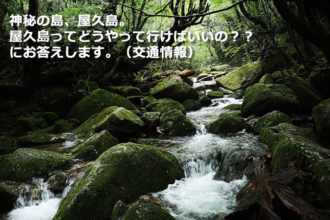 神秘の島、屋久島。屋久島ってどうやって行けばいいの？？にお答えします。（交通情報）