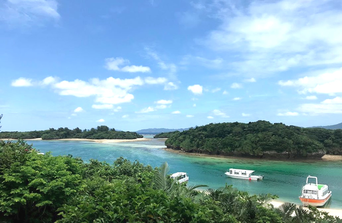 しろくまツアーの「石垣島7大ポイント」。どんな感じで遊べるの？にお答えします！