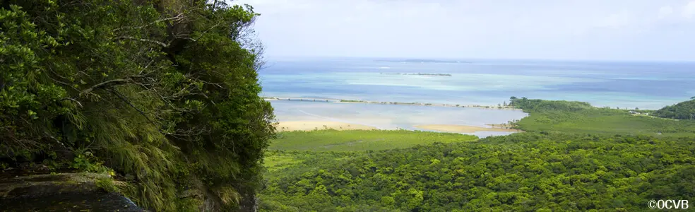 たまには一人でリフレッシュ！沖縄ひとり旅のススメ｜西表島