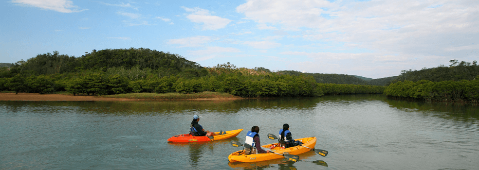 目指せ！秘境の森！やんばる国立公園指定記念ツアー特集