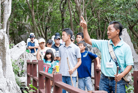 目指せ！秘境の森！やんばる国立公園指定記念ツアー特集