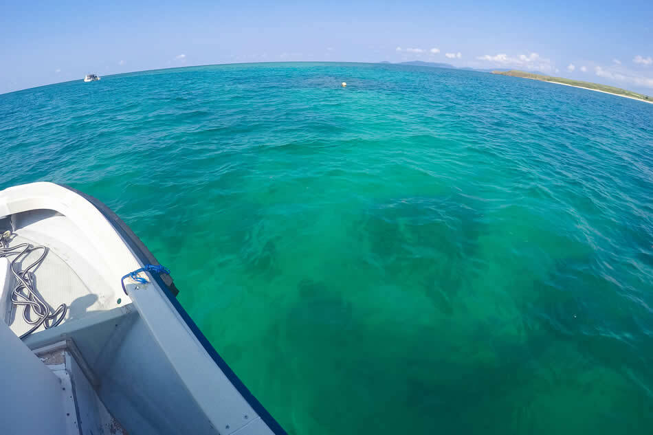 【小浜島】干潮で現れる幻の島に上陸!? 小浜島の魅力満載アクティビティ＜お昼編＞