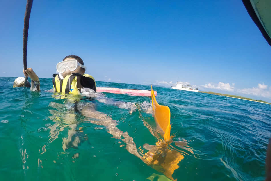 【小浜島】干潮で現れる幻の島に上陸!? 小浜島の魅力満載アクティビティ＜お昼編＞