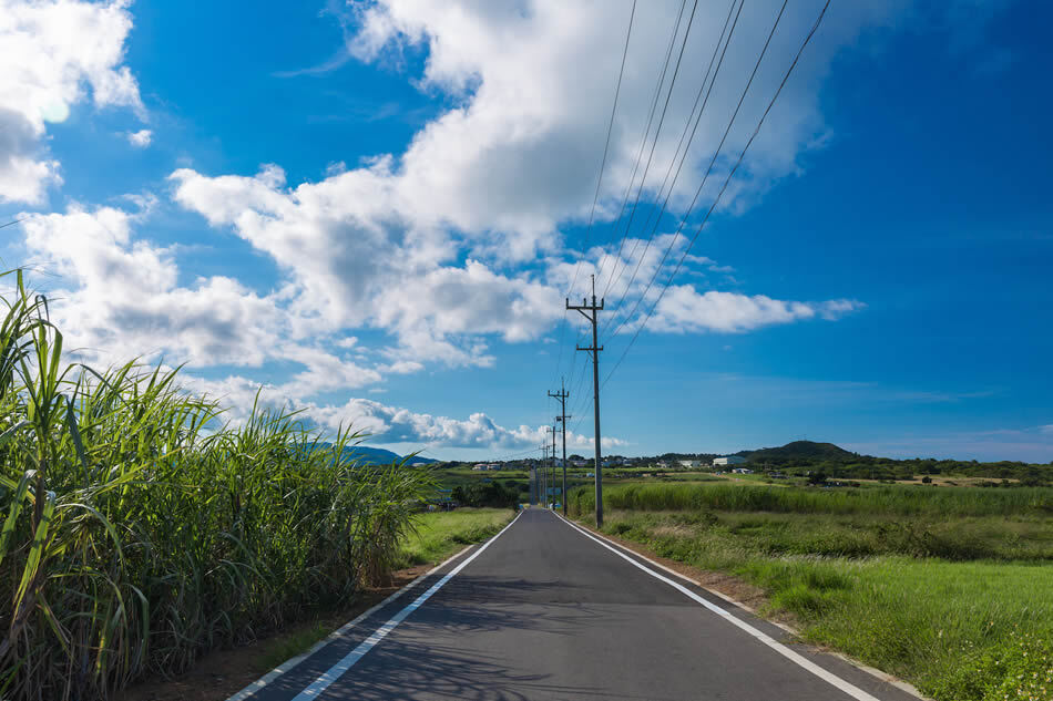 ざわわな島時間を感じる♪ 小浜島一周サイクリングで見つけた「なにもない」ことの本当の魅力