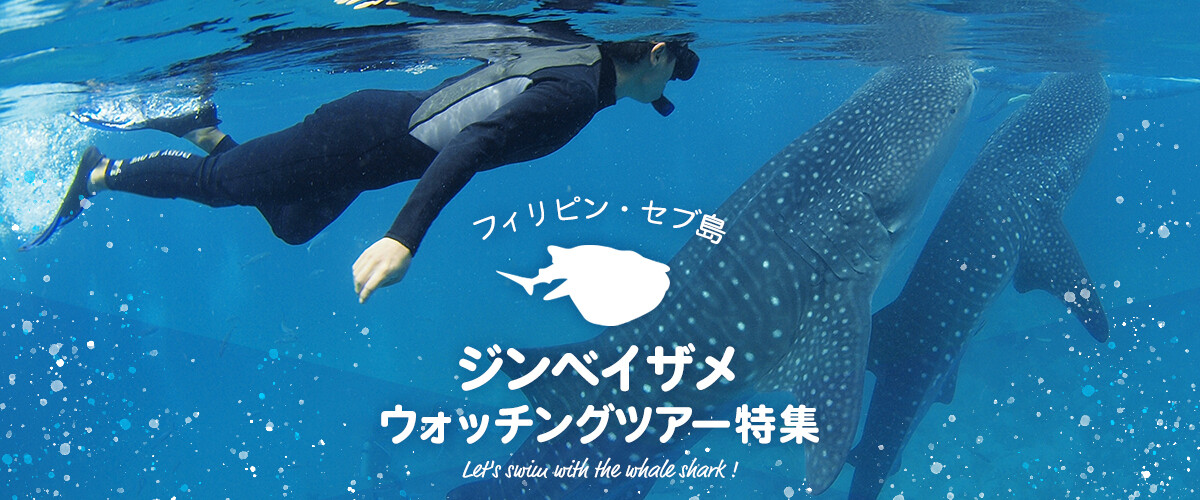 セブ島ジンベイザメウォッチングツアー特集