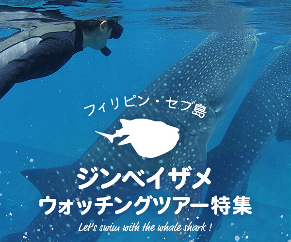 セブ島ジンベイザメウォッチングツアー特集