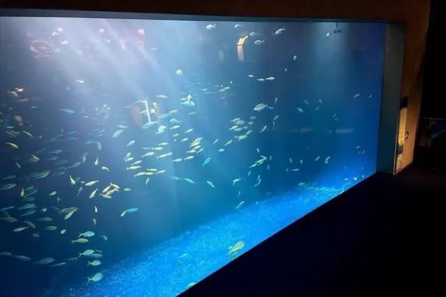 四国水族館水槽/綿津見の景