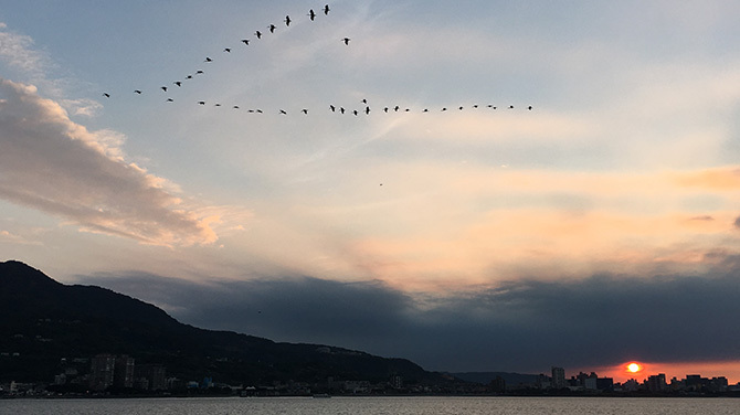 「淡水」の夕日4