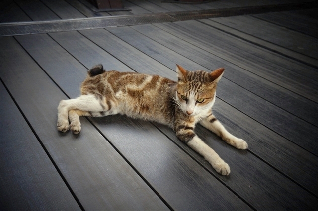 猴（侯）駅