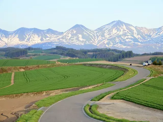 北海道｜美瑛