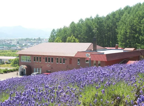 社員旅行革命｜北海道・ふらのワイン工場