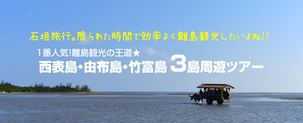 効率よく石垣島・離島観光をしよう！離島観光の王道＜西表島・由布島・竹富島３島周遊ツアー＞