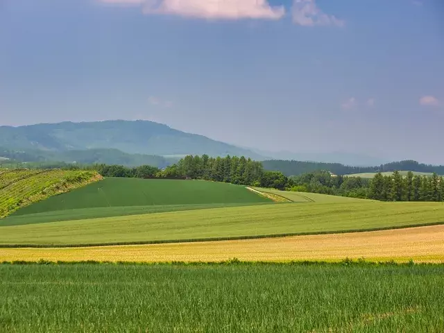 北海道｜美瑛