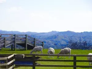 社員旅行｜マザー牧場