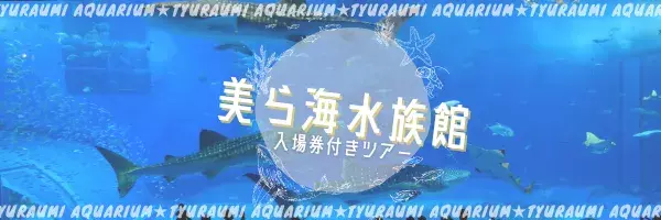 沖縄美ら海水族館チケット付ツアー特集