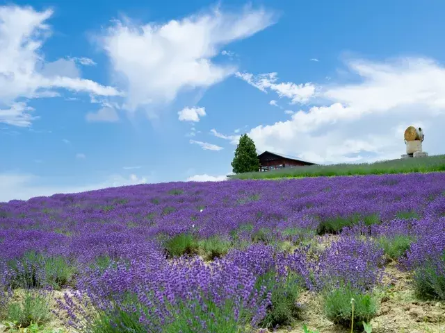 北海道｜ファームスタンド上富良野